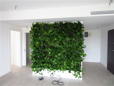 Grădină verticală cu plante naturale – Iancu Nicolae, foto 21 din 26